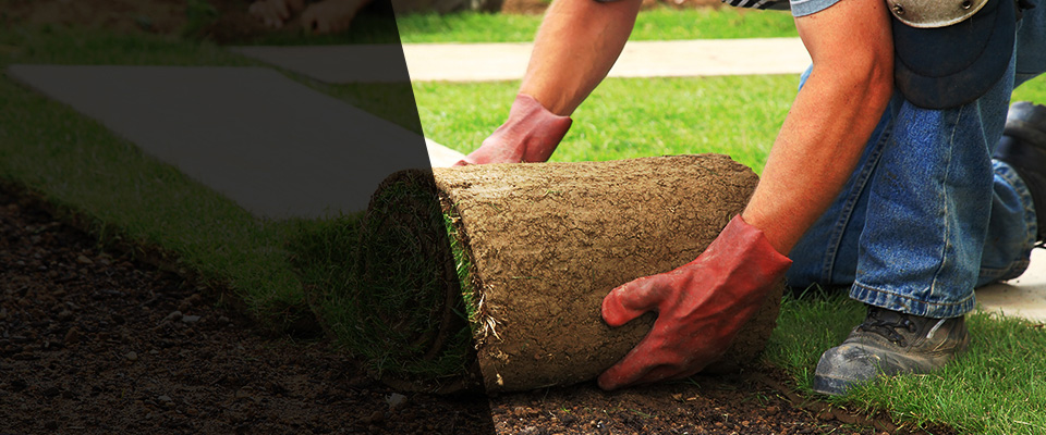 New Athens Landscapers